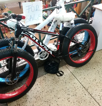 Best Quality Bicycle