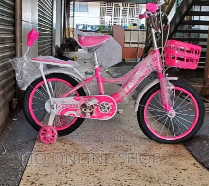 Kids Girls Bicycle Classy Unique, Original and Strong