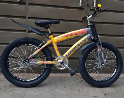 New Goodwin cycle
