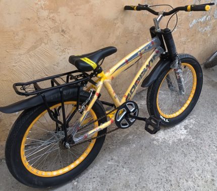 New Goodwin cycle 20 numbar